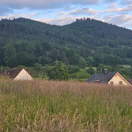 Werner Mit 5 Schlafzimmern, Sauna & Naturidylle Schliengen